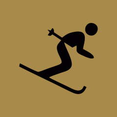 produkt_icon_skialpine